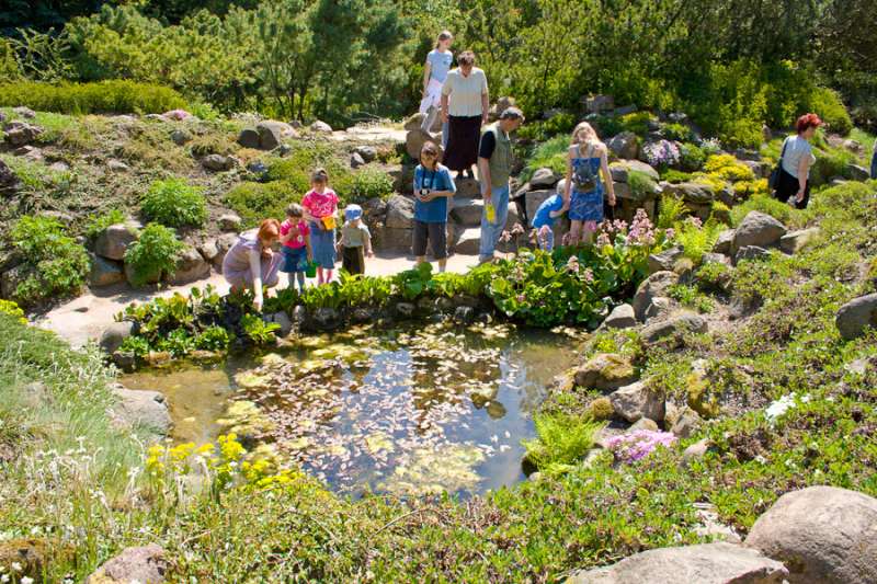 picture 4 arboretum